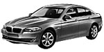 BMW F10 C207E Fault Code